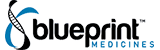 Bluprint_250